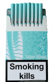 URTA mint slims wide (Юрта ментоловые слимовые широкие) 0
