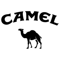 Camel